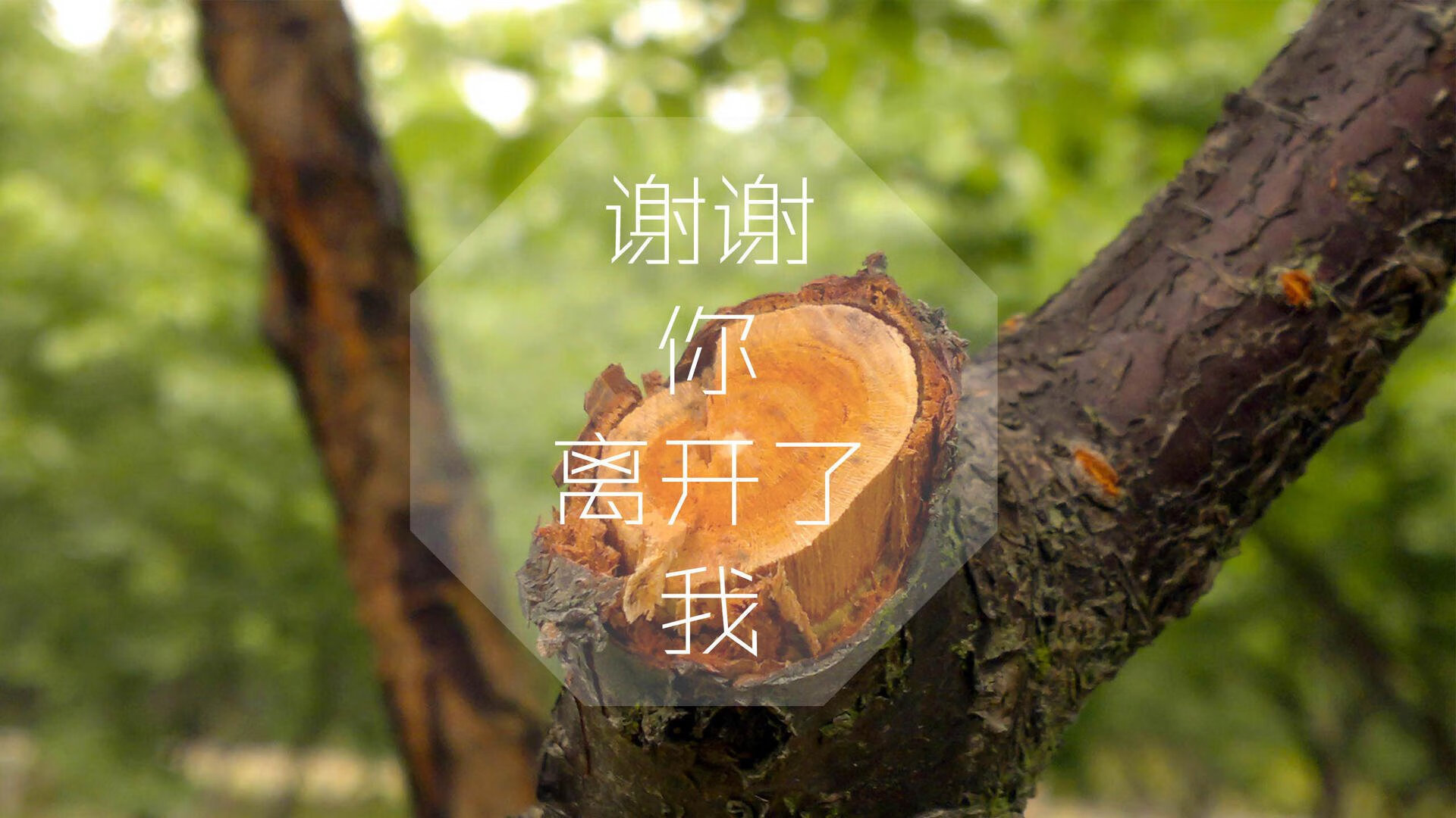 b体育电竞-马洛卡客场失利，保级形势不容乐观，马洛卡vs西班牙人比赛预测