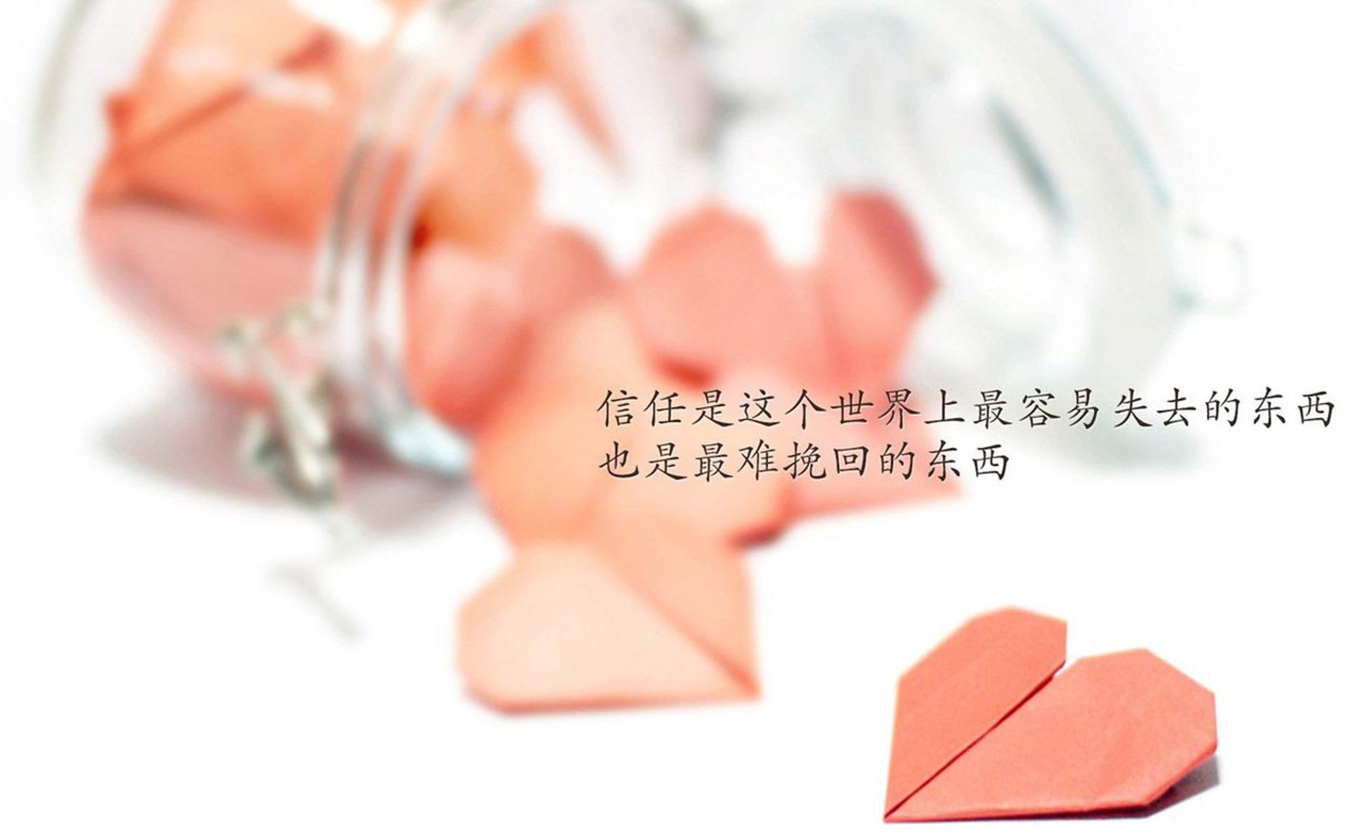 亚洲体操锦标赛中国男团实现王者归来，亚洲体操联合会