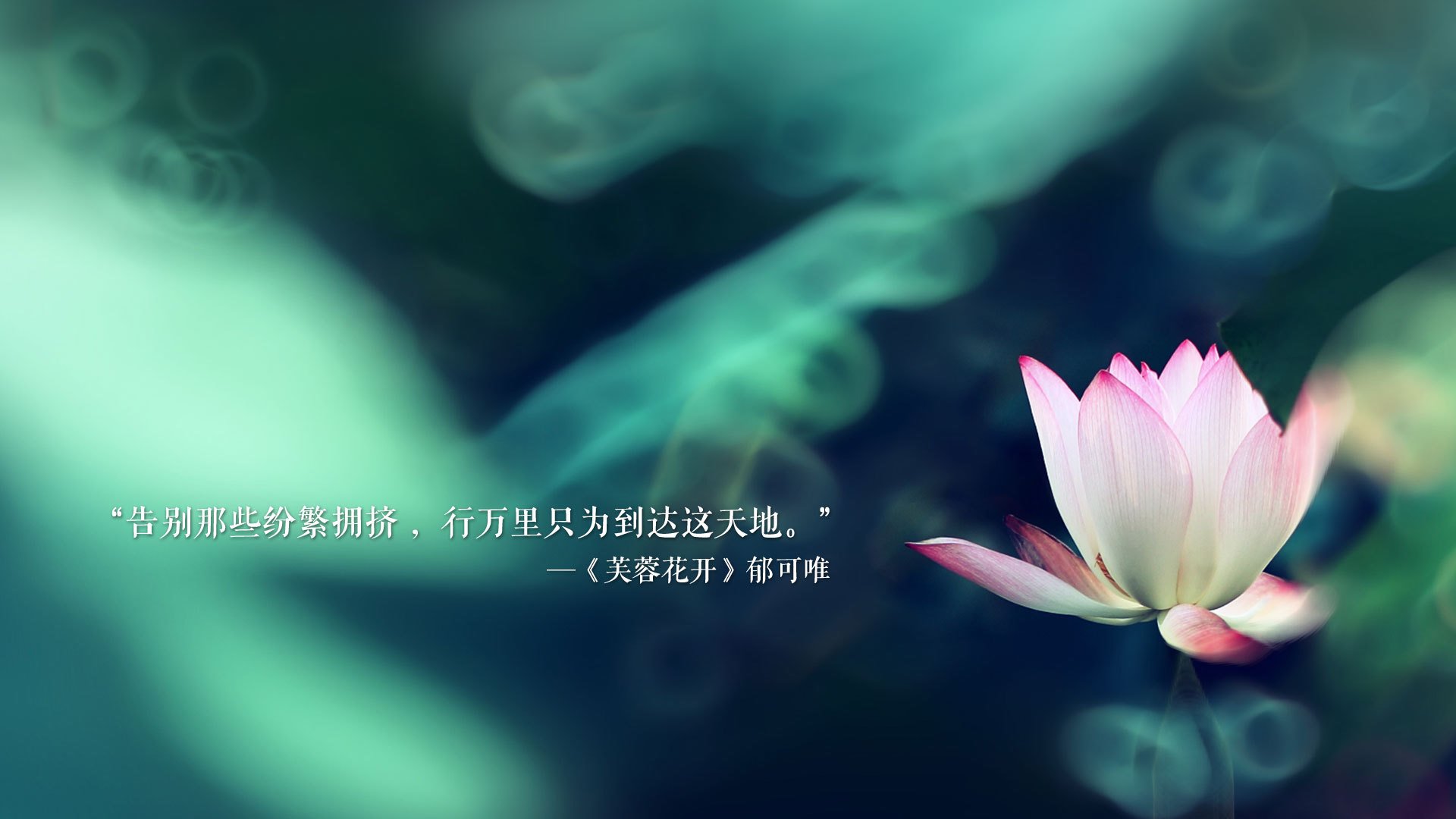 CBA球队优化战术板块精细化管理，当前cba联赛主要采取的防守方式