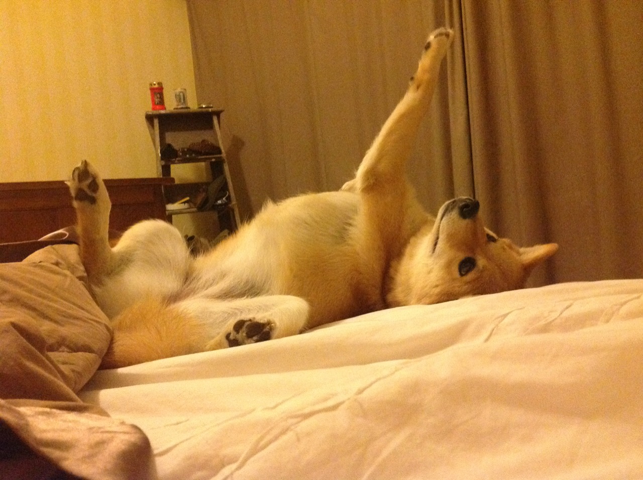 b体育平台-霍勒迪在防守端贡献巨大抢断频频，霍勒迪 防守