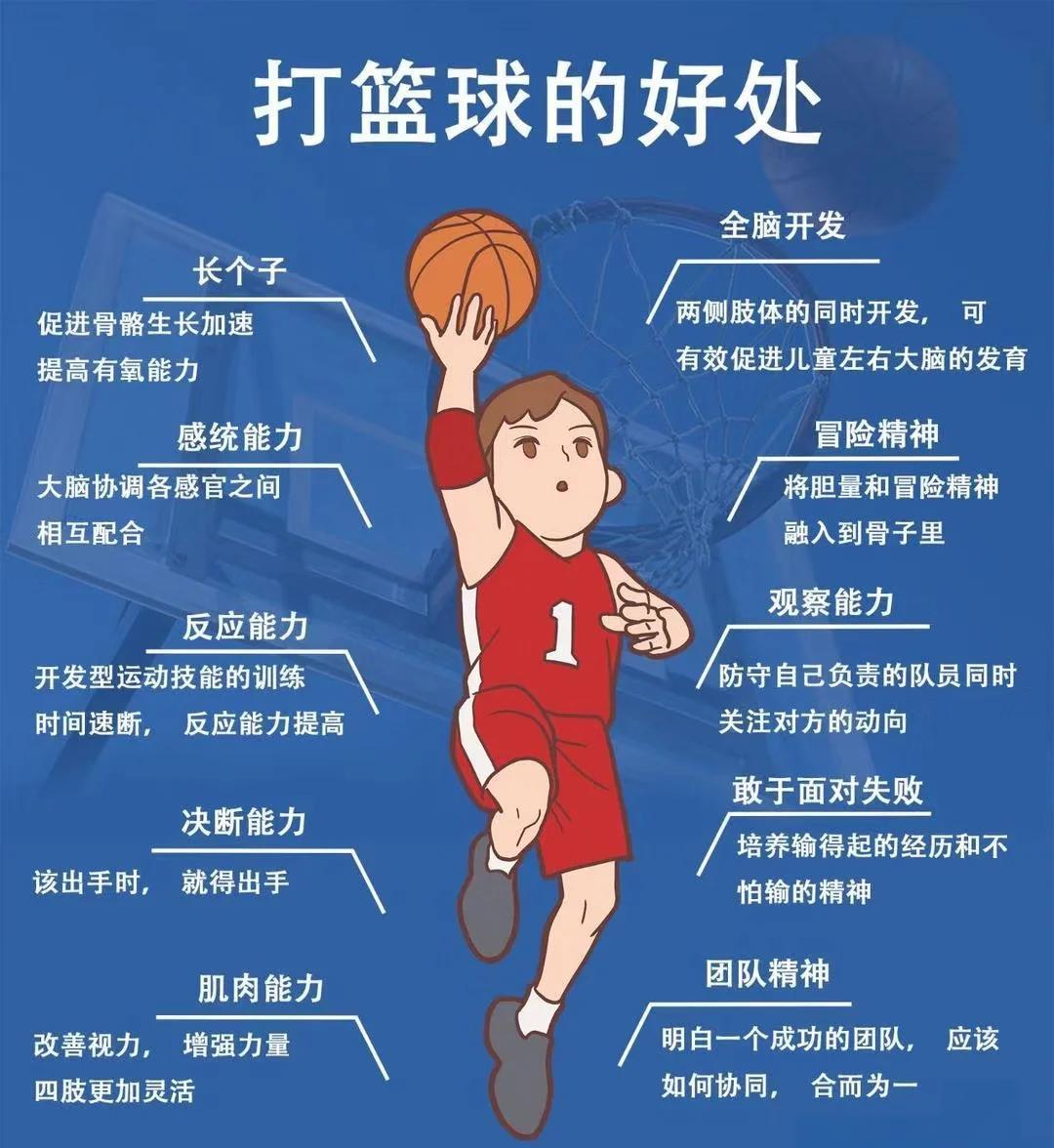 关于B体育官网：青少年篮球培训市场：规范、健康与发展的信息